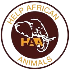 HAA Logo